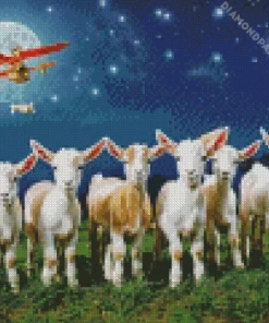 baby goats Diamond With Numbers