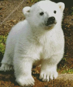 baby knut polar bear Diamond Dotz