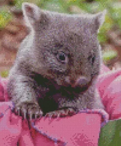 baby wombat Diamond Dotz