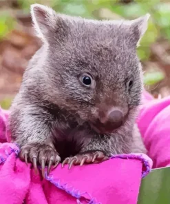 baby wombat Diamond Dotz