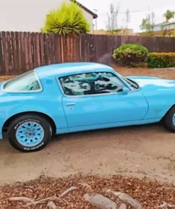 blue 1977 trans am Diamond Dotz