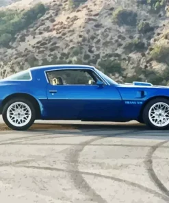 blue 1978 trans am Diamond Dotz