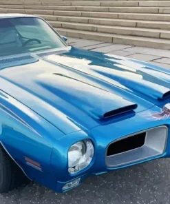 blue 1979 firebird car Diamond With Numbers