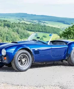 blue ac cobra car Diamond With Numbers