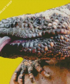 gila monster Diamond With Numbers