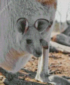 kangaroo in a pouch Diamond With Numbers