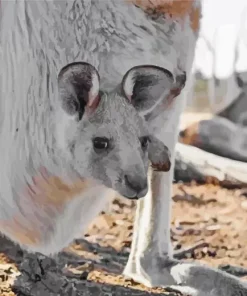 kangaroo in a pouch Diamond With Numbers