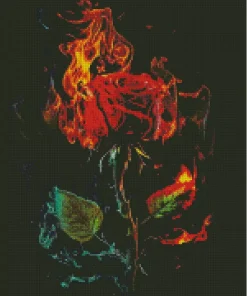 red flaming rose Diamond Paintings
