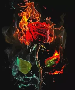 red flaming rose Diamond Paintings
