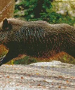 wild boar animal Diamond Dotz