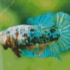 Betta Smaragdina Diamond Painting