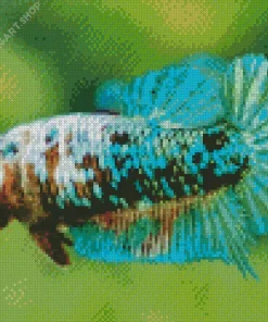 Betta Smaragdina Diamond Painting