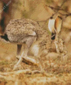 Black Tailed Jackrabbit Diamond Painting