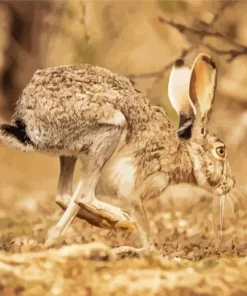 Black Tailed Jackrabbit Diamond Painting
