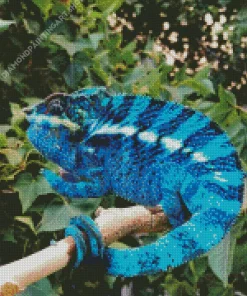 Blue Chamelon Diamond Painting