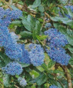 Blueblossom Plant Diamond Painting