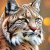 Bobcat Animal Diamond Painting