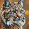 Bobcat Animal Diamond Painting