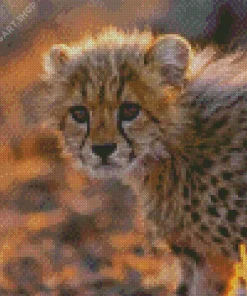 Cheetah Cub Diamond Painting