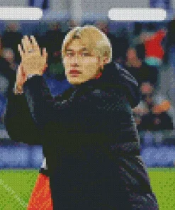 Daiki Hashioka Diamond Painting