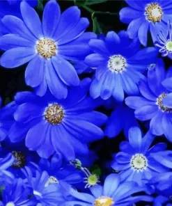 Dark Blue Daisies Diamond Painting