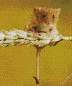 Eurasian Harvest Mouse Diamond Painting