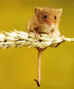 Eurasian Harvest Mouse Diamond Painting