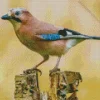 Eurasian Jay Bird Diamond Painting