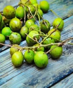 Spanish Lime Diamond Painting