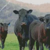The Aberdeen Angus Diamond Painting