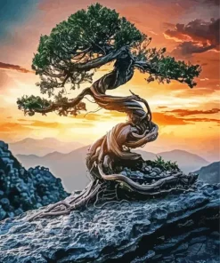 The Bonsai Tree Diamond Painting