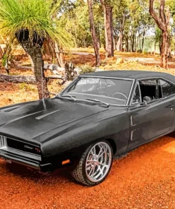 Vintage Black 69 Charger Diamond Painting