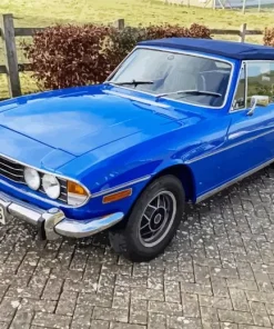 Vintage Blue Triumph Stag Diamond Painting