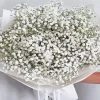 White Baby Breath Bouquet Diamond Painting