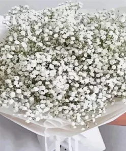 White Baby Breath Bouquet Diamond Painting