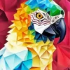 Aesthetic Geometric Parrot Art Diamond Painting