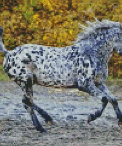 Appaloosa Leopard Diamond Painting