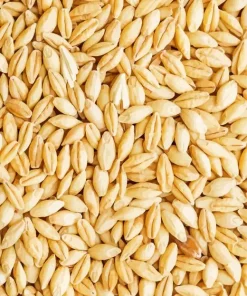 Barley Grain Diamond Painting