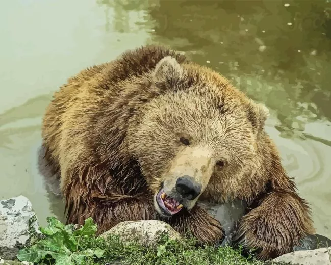 bear sleeping Diamond Paints Bear Sleeping Diamond Painting