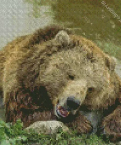 Bear Sleeping Diamond Painting