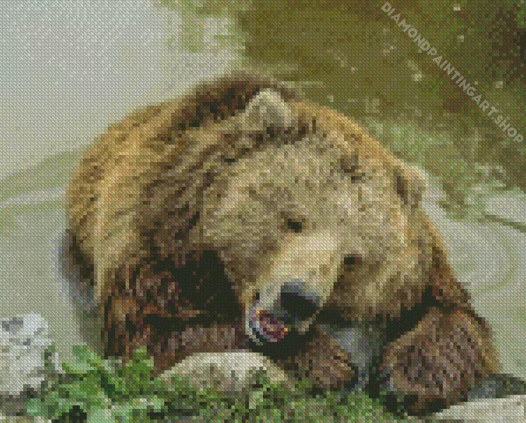 bear sleeping Diamond With Numbers Bear Sleeping Diamond Painting