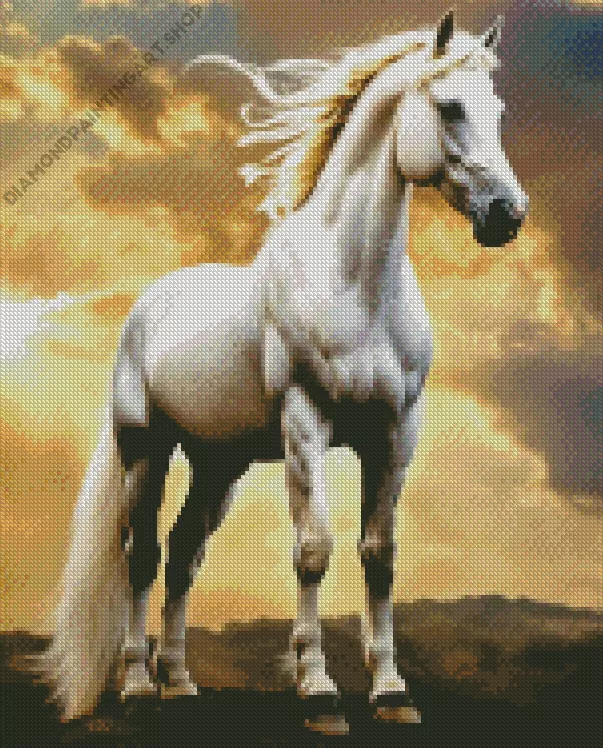 beautiful white stallion Diamond With Numbers
