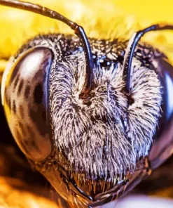 Bee Eyes Diamond Painting