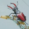 Beetle Art Diamond Painting