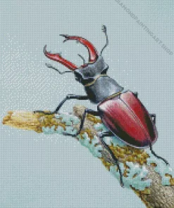 Beetle Art Diamond Painting