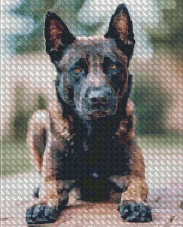 belgian malinois dog Diamond With Numbers Belgian Malinois Dog Diamond Painting