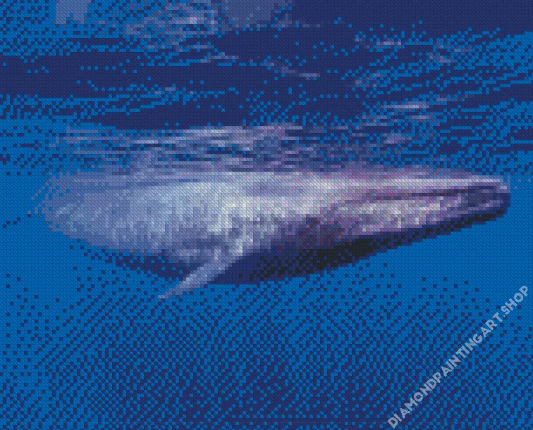 big blue whale Diamond By Numbers Big Blue Whale Diamond Painting