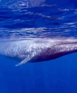 Big Blue Whale Diamond Painting