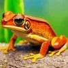 Big Orange Frog Diamond Painting