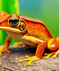 Big Orange Frog Diamond Painting